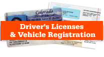 Drivers License Image detail image