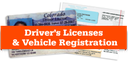 Drivers License Image thumbnail image