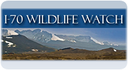 Wildlife Watch thumbnail image