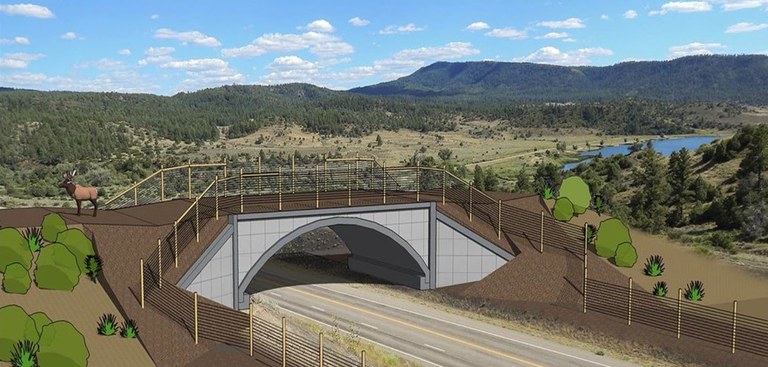 rendering of the new wildlife overpass