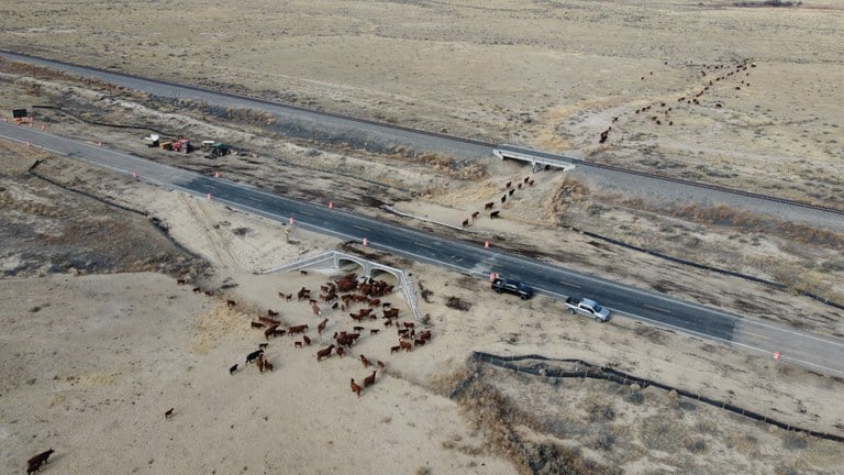 Otero County Bridge at MP 56.6 on US 350