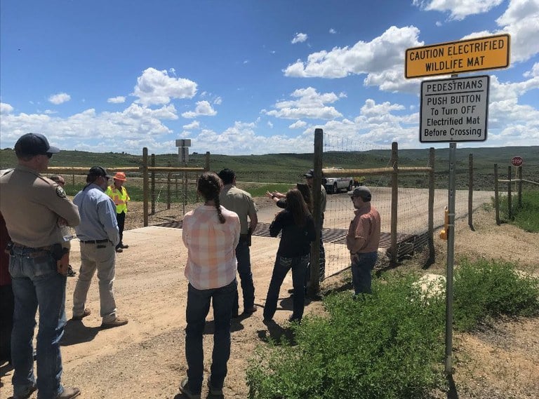 View of new ZapCrete mats during tour of Wildlife Underpass project