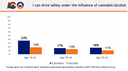 Cannabis survey results bar graph.png thumbnail image