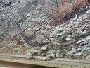 Rockslide debris on the road on westbound I-70 Glenwood Canyon on 03072024.jpg thumbnail image