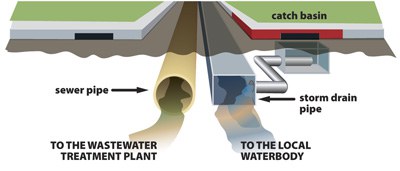 Diagram of the Municipal Separate Storm Sewer System showing stormwater leading to local water body and Sanitary sewer system leading to wastewater treatment plant