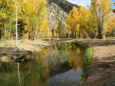 A restored section of Clear Creek with fall foilage.