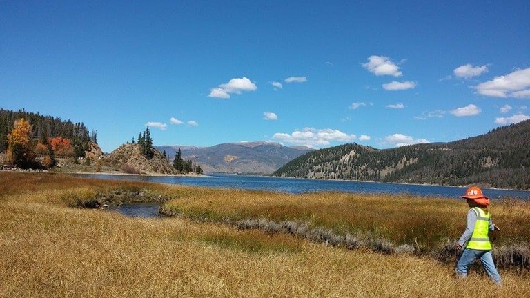 CDOT employee walking through wetland surrounding Lake Dillon