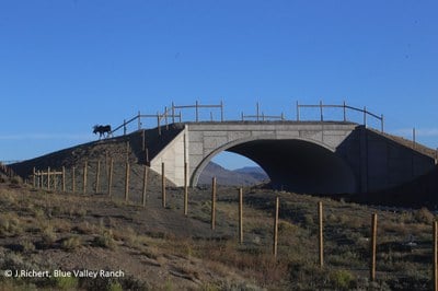 SH 9 Moose Crossing Overpass 090916