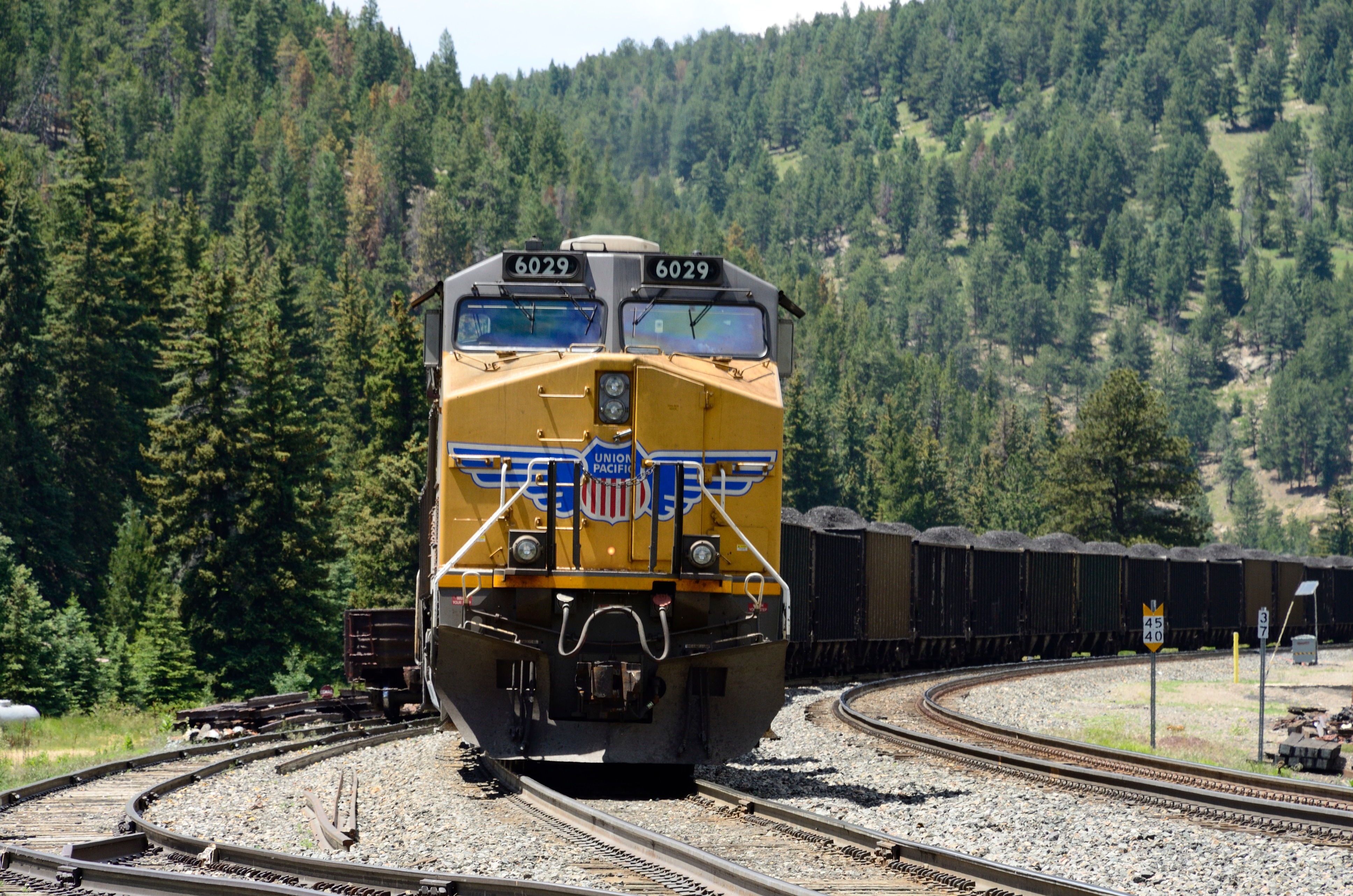 CO 986 UP Coal Train in Pinecliff _0446_D7K4741.jpg — Colorado ...