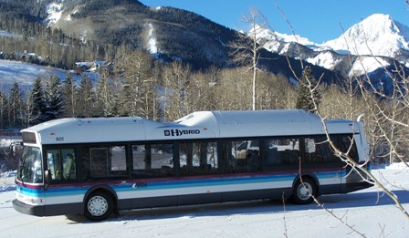 Mt. Daily Hybrid detail image