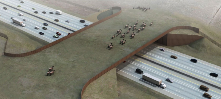 I-25 Greenland Wildlife Overpass conceptual rendering showing a herd of elk crossing