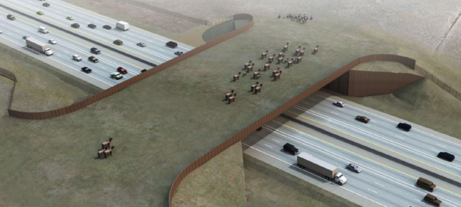 I-25 Wildlife Overpass Rendering wElk.png detail image