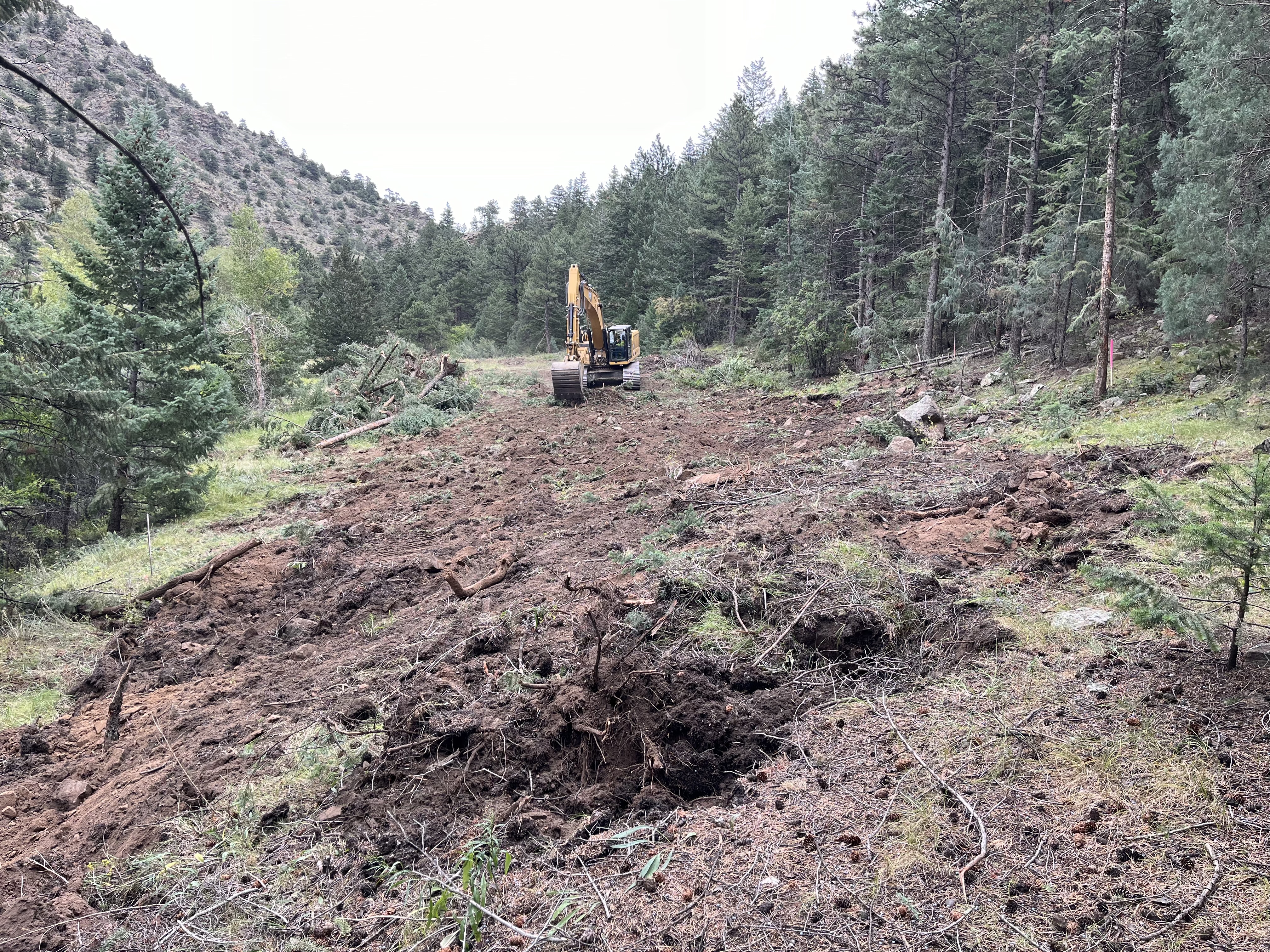 I-70 Floyd Hill Tree Clearing.jpg detail image