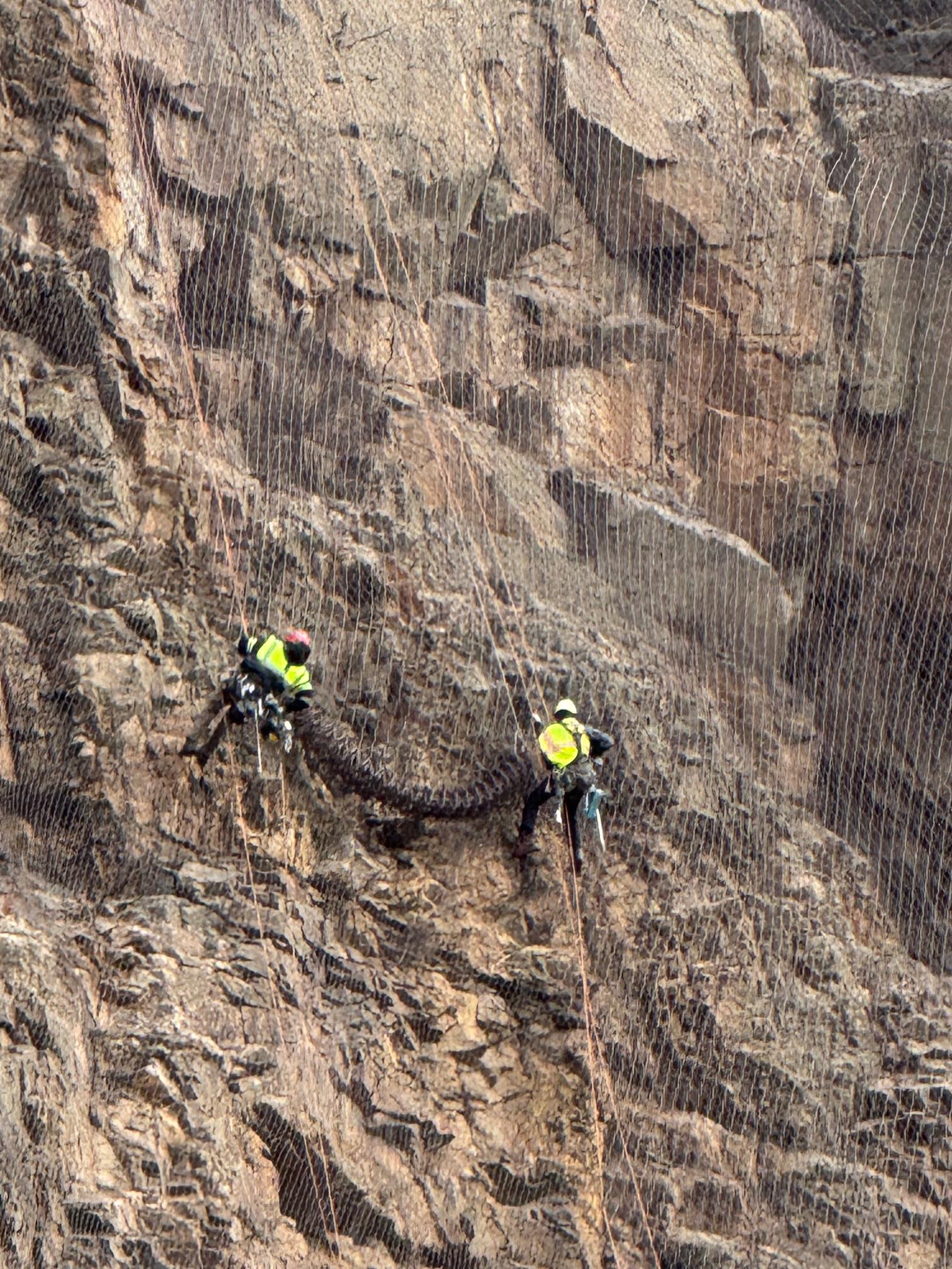 I-70 Floyd Hill Wire Mesh 01222025.jpg detail image