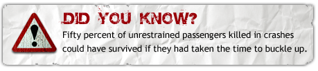 dyk_buckle_up.png detail image