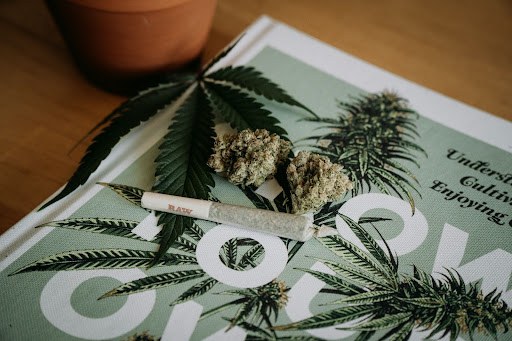 A pot leaf, marijuana bunches and a rolled join all sit on top of a coffee table book. 