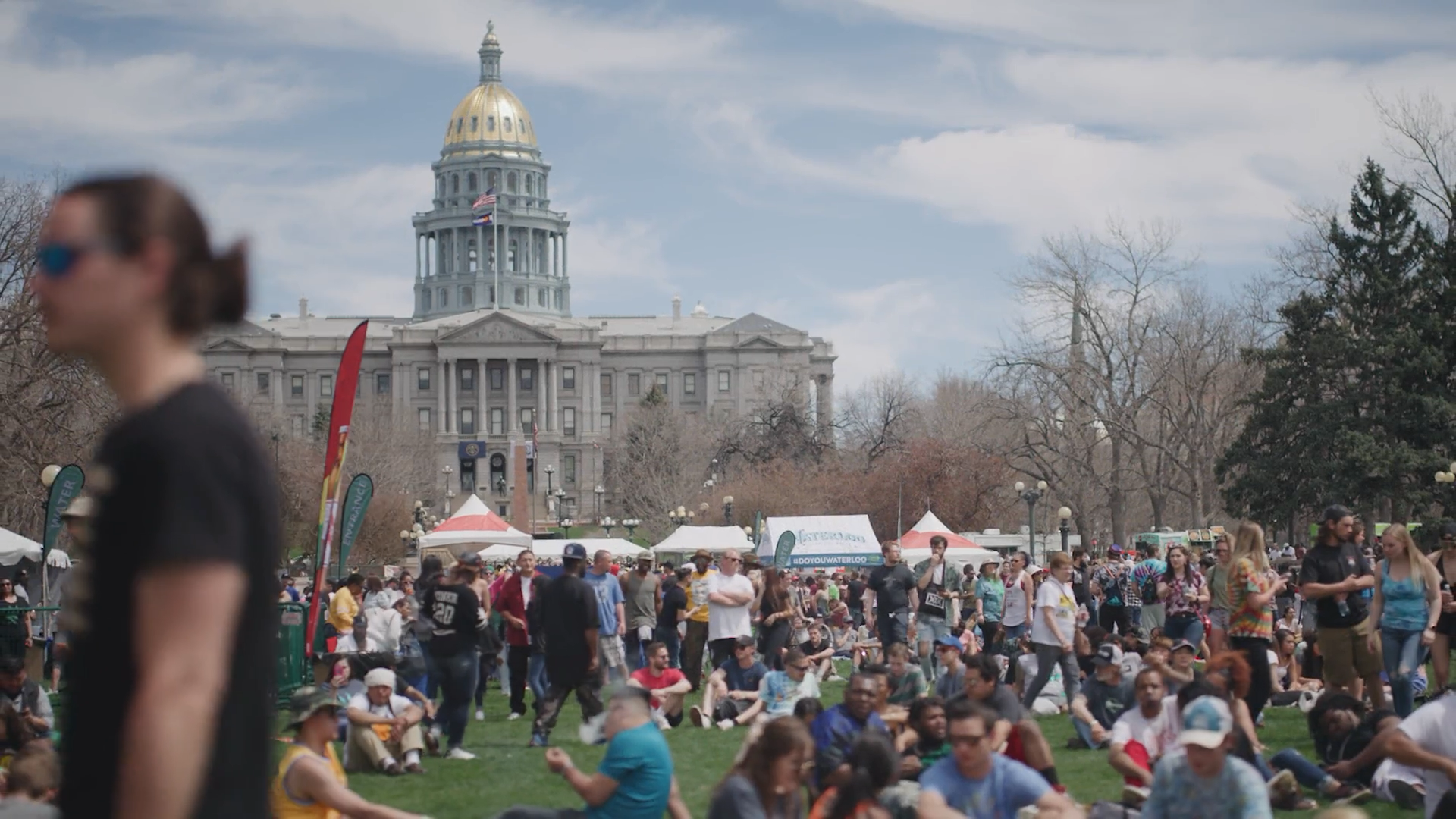 420 Festival Lawn detail image