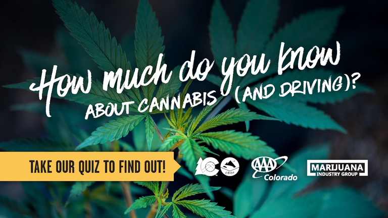 CDOT_CannabisQuizTitleSlide_Page_01.png