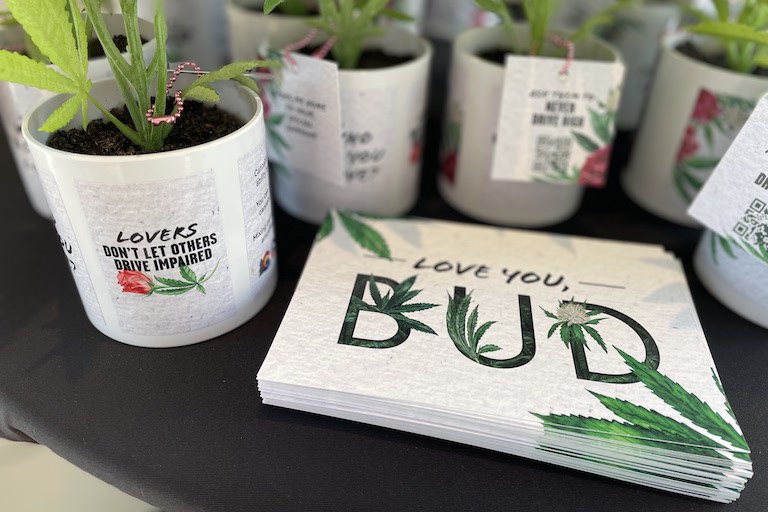 Valentines Day giveaways at Native Roots, stickers read "love you, bud" and "lovers don't let others drive impaired"