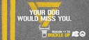 Reason #7 To Buckle Up Graphic thumbnail image