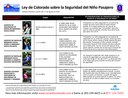 Passenger Safety Law - Spanish thumbnail image