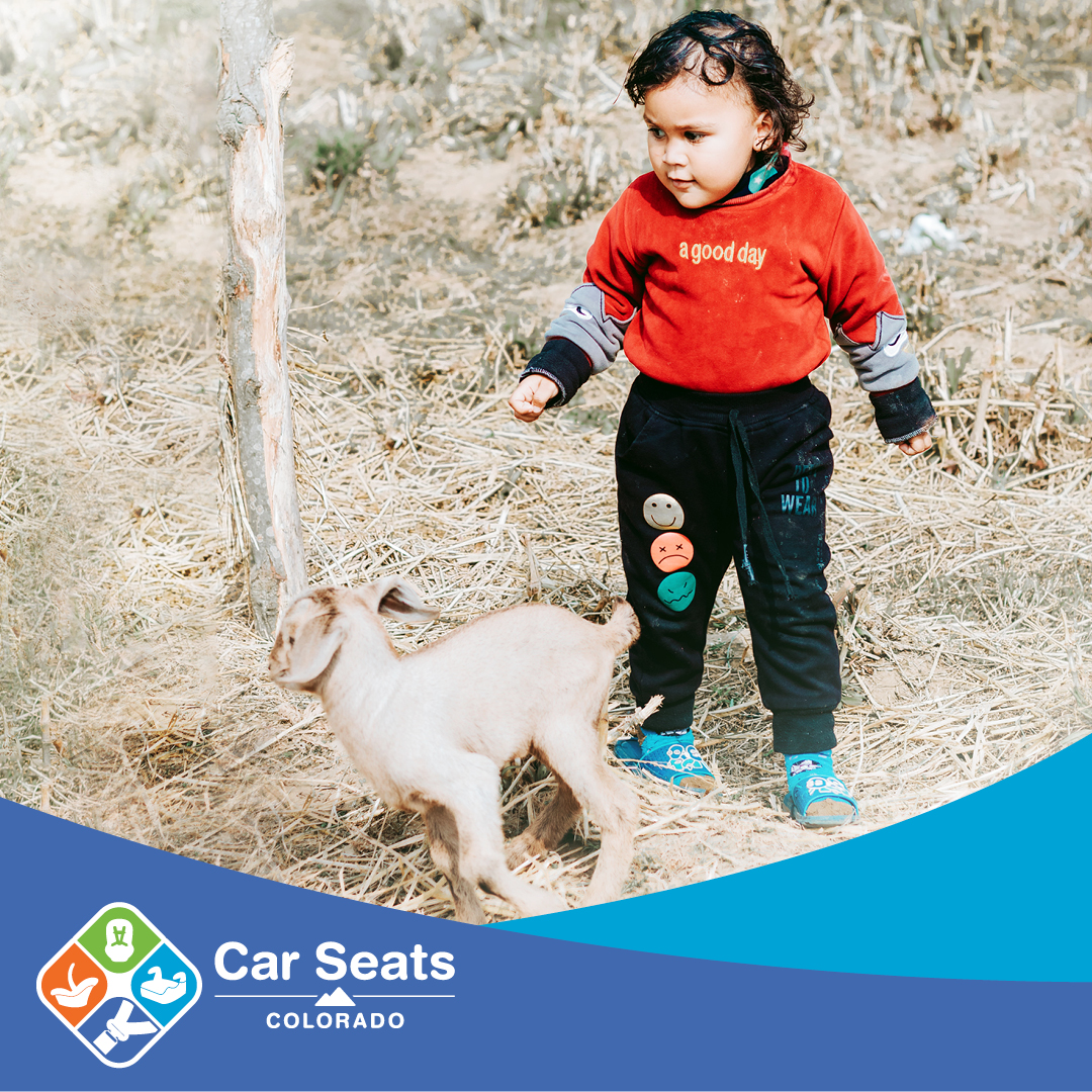 Child Passenger Safety - Child With Goat detail image
