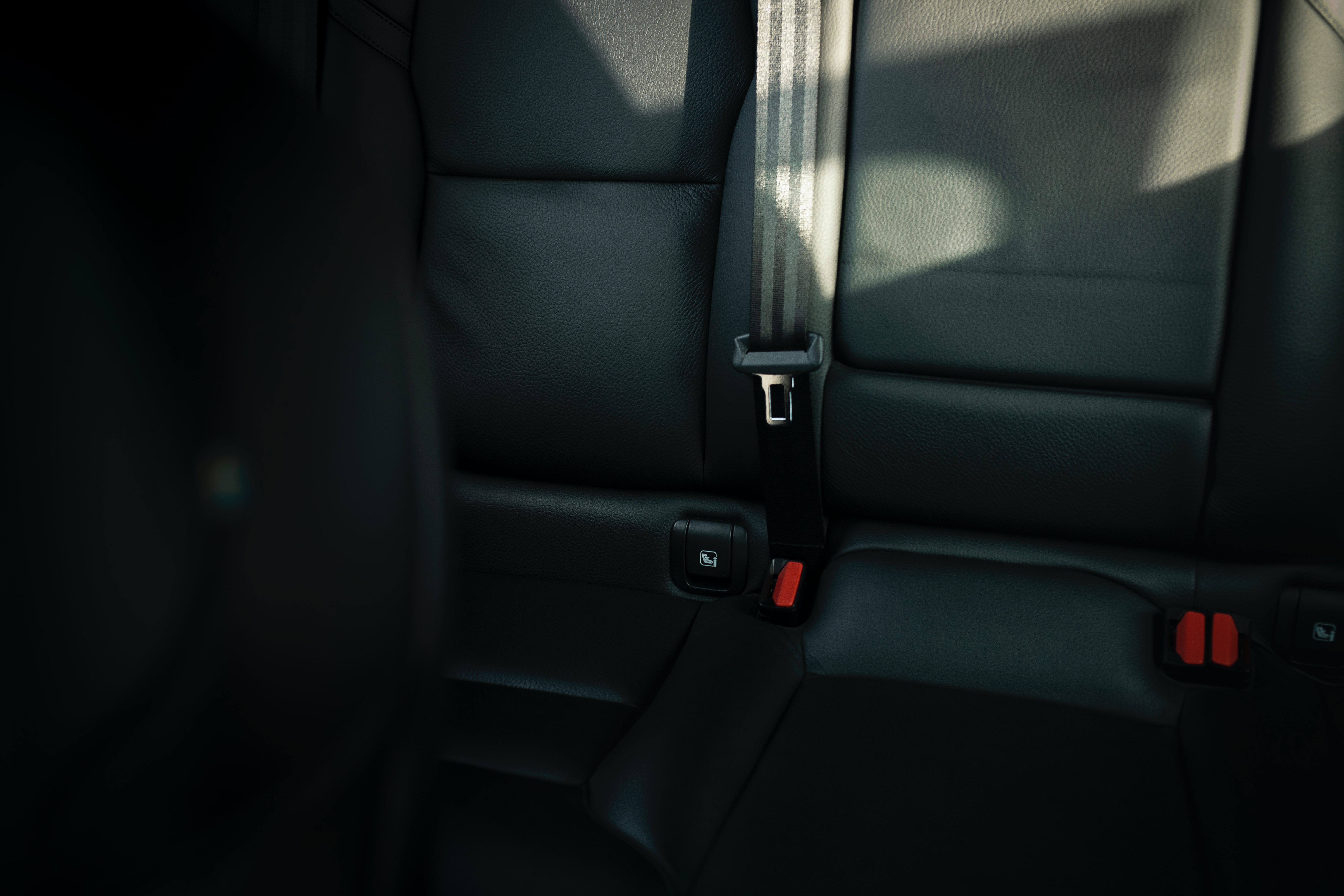 Backseat Seat Belts detail image