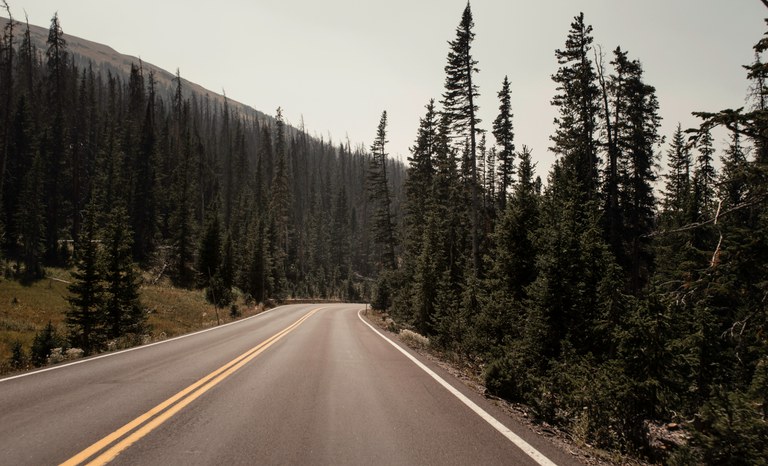 Rural Colorado road with a mountain, tall green trees and clear sky.