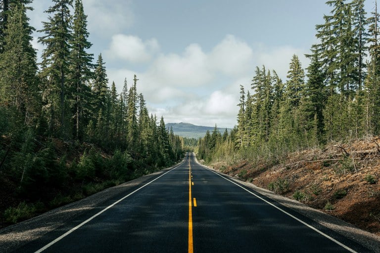 Empty two-lane road with tall green trees on both sides and a mountain with white clouds in the distance.