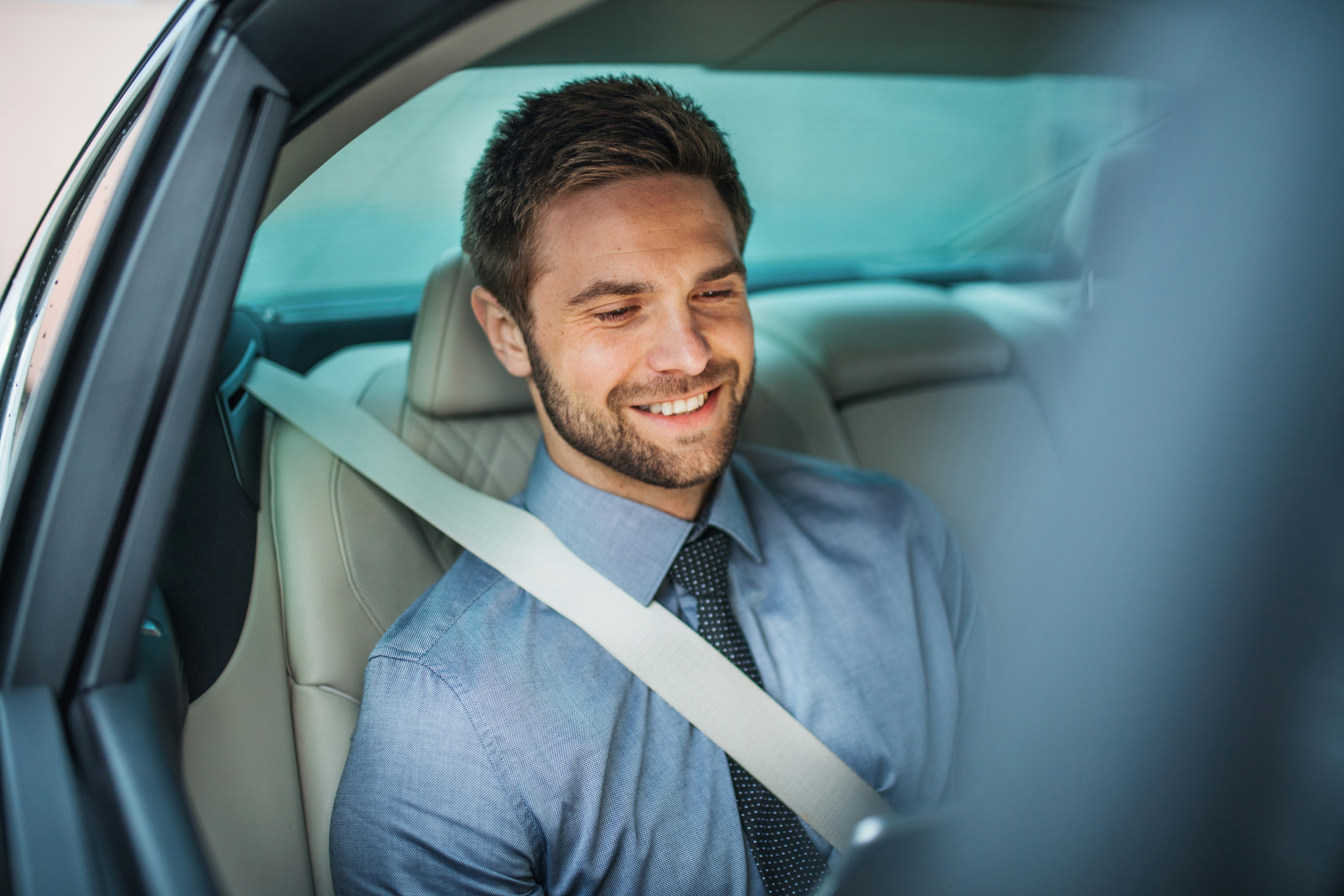 Passenger Wearing Seat Belt detail image