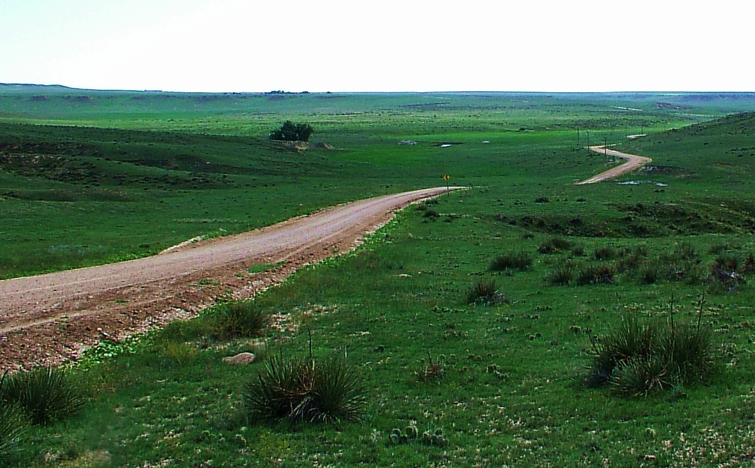 Prairie  Road detail image