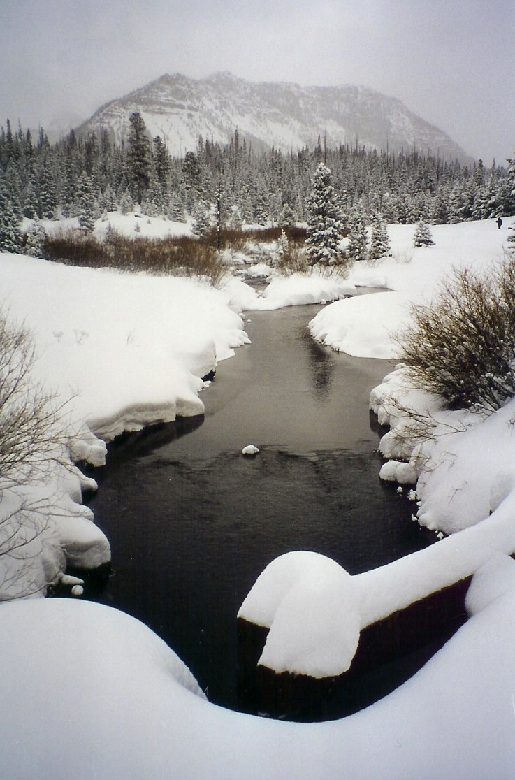 Winter Water detail image